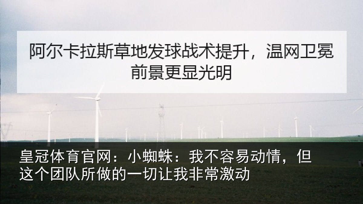 皇冠体育官网：小蜘蛛：我不容易动情，但这个团队所做的一切让我非常激动