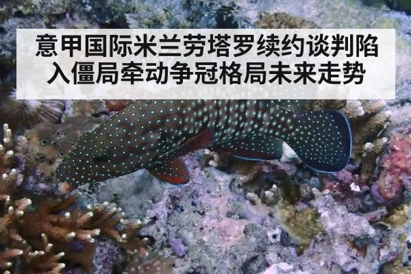 意甲国际米兰劳塔罗续约谈判陷入僵局牵动争冠格局未来走势