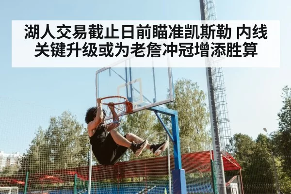 湖人交易截止日前瞄准凯斯勒 内线关键升级或为老詹冲冠增添胜算
